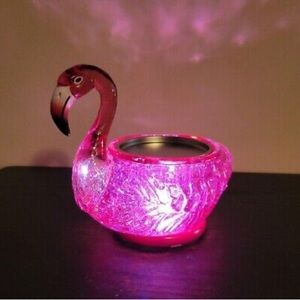 🦩Single wick light up water globe candle holder
